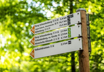 Wegweiser im Wald zeigt verschiedene Wanderziele und Entfernungen an, umgeben von üppigem Grün.