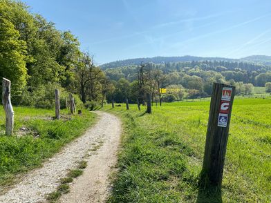 Zu sehen ist ein Wanderweg, umsäumt von grüner Wiese und grünen Bäumen, über der Landschaft der wolkenlose, blaue Himmel und im Hintergrund grüne Hügel.