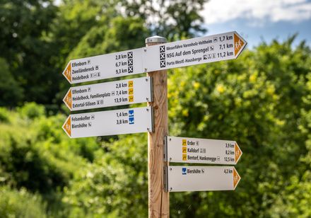 Wegweiser aus Holz in ländlicher Umgebung mit mehreren Schildern zu Wanderzielen im Grünen.