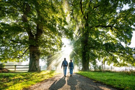 Zwei Wanderer zwischen Bäumen im Sonnenlicht