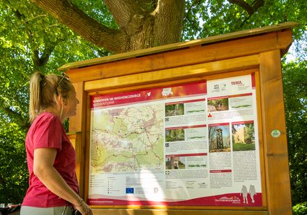 Frau liest Informationstafel über Wanderwege in Waldgebiet bei strahlendem Sonnenschein aufmerksam.