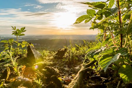 Teutoburger Wald - Blick über die Landschaft. Foto: Teutoburger Wald Tourismus / P. Koetters