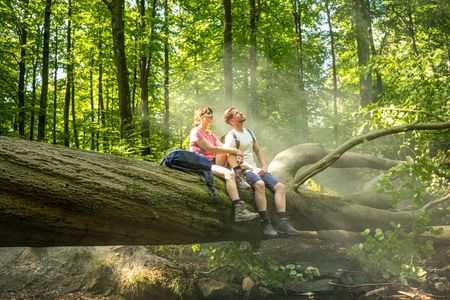 Ein Paar sitzt entspannt auf einem umgestürzten Baumstamm im sonnendurchfluteten Wald.