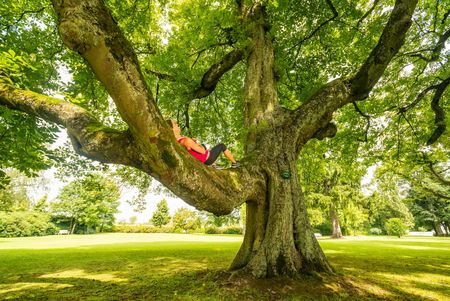 Gesunder Kurzurlaub - Frau liegt auf Ast im Baum